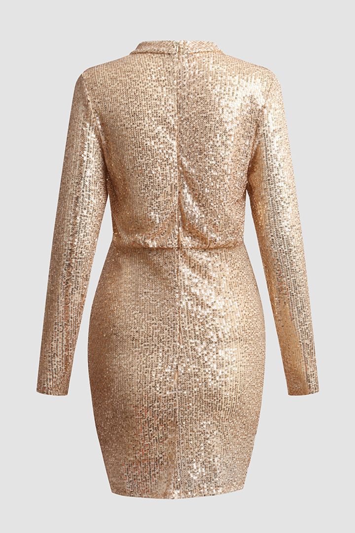 Sequined Mini Body Dress